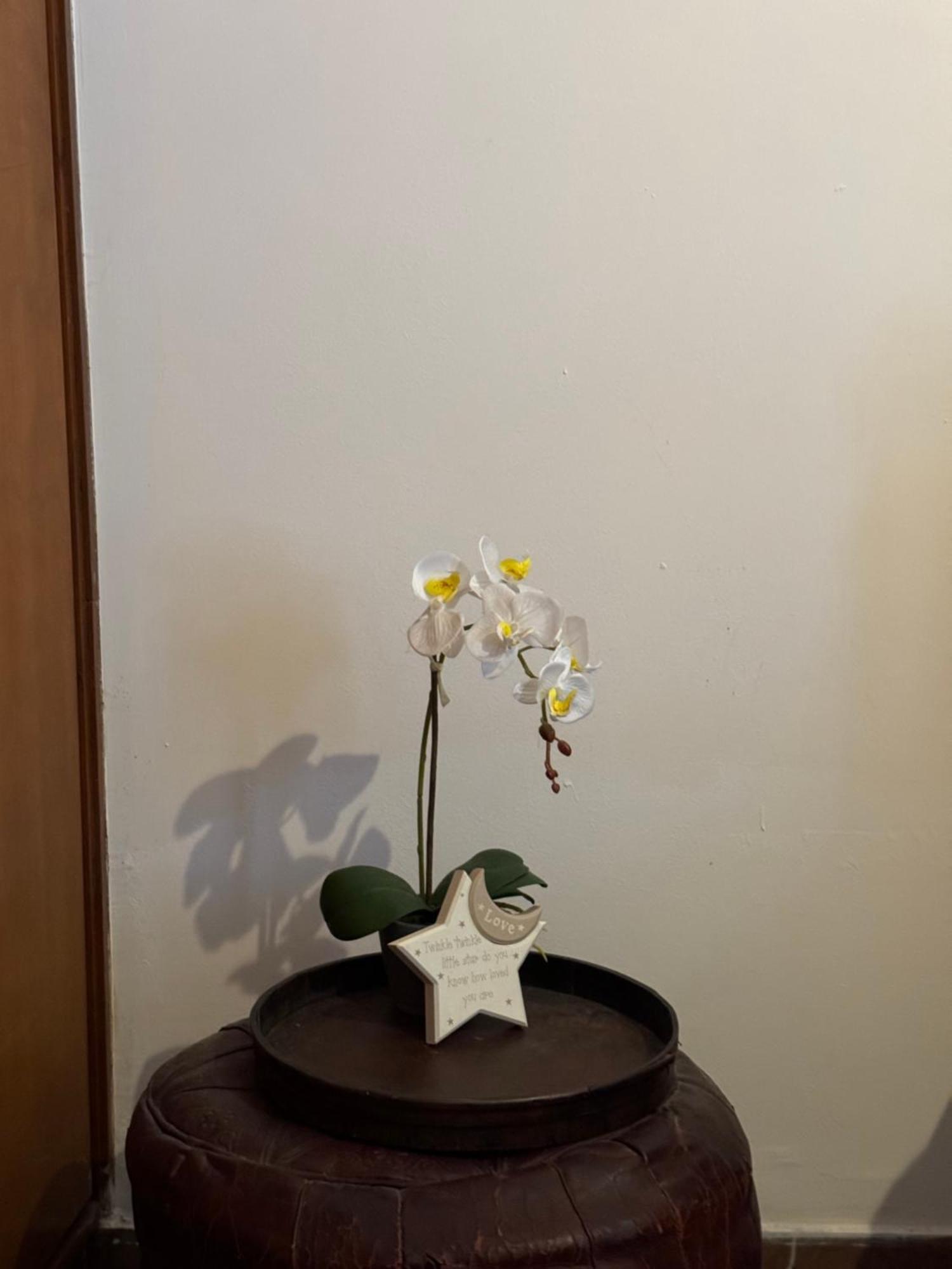Apollo Apartment Athens/Airport Spata  Ngoại thất bức ảnh