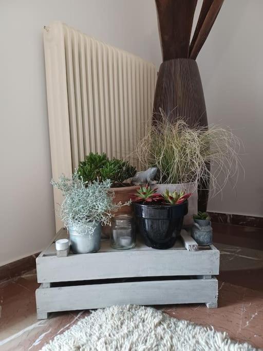 Apollo Apartment Athens/Airport Spata  Ngoại thất bức ảnh